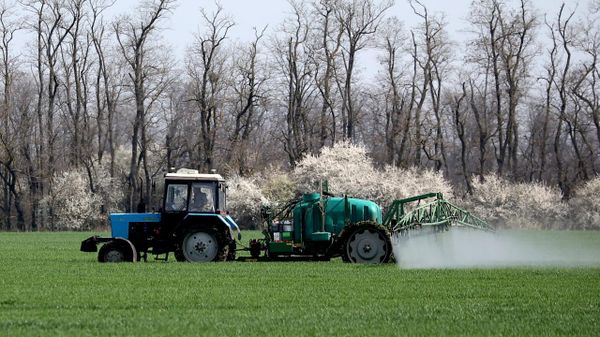 'We Are Fully Committed to Launching Russia-Africa Agro-Industrial Alliance,' Says Russian Deputy FM