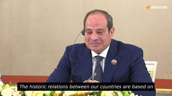 Russia-Egypt Relations Are Developing ‘Successfully’: Putin Comments on Trade, the Joint Intergovernmental Commission, El-Dabaa NPP, Tourism - Sputnik Africa