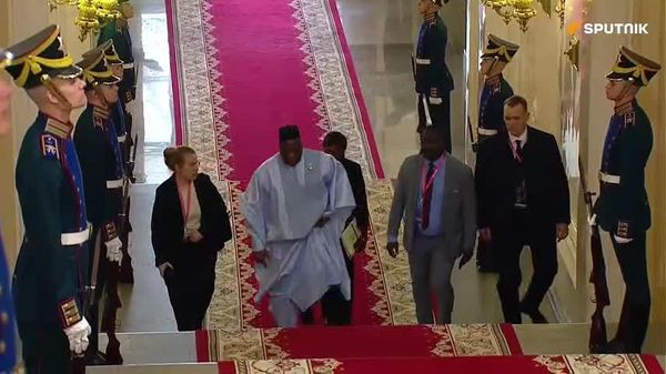 Delegates Arrive at the Kremlin for Russia–Africa Summit Plenary Session - Sputnik Africa