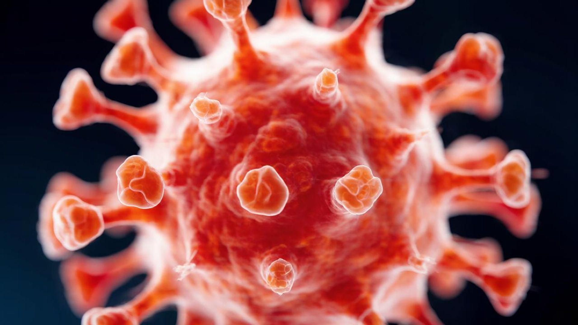 Ebola pourrait atteindre l'Europe et d'autres continents, avertit un responsable africain Ebola pourrait atteindre l'Europe et d'autres continents, avertit un responsable africain - Sputnik Afrique, 1920, 30.10.2026