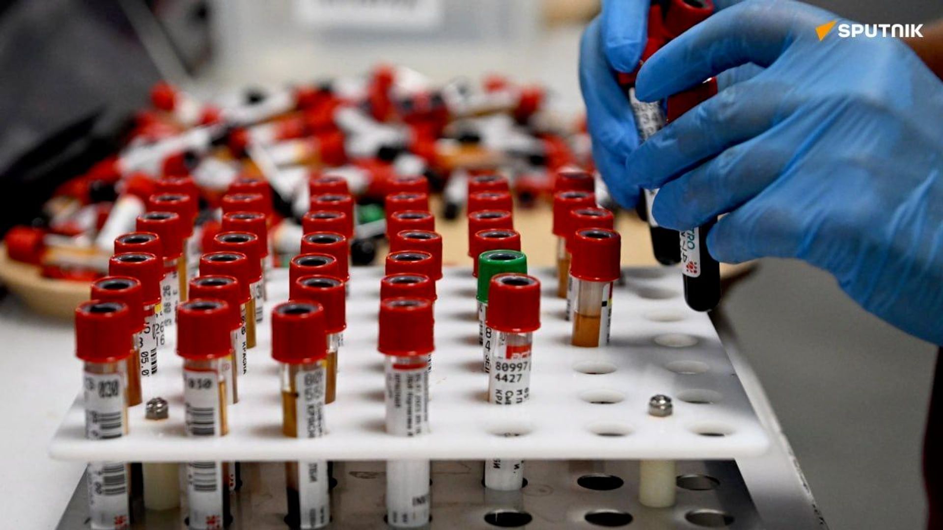 'They Are Waiting for Our Tests, Vaccines, and Knowledge': Russia's Sanitary Service Head Details Health Aid to Africa 'They Are Waiting for Our Tests, Vaccines, and Knowledge': Russia's Sanitary Service Head Details Health Aid to Africa - Sputnik Africa, 1920, 30.10.2026