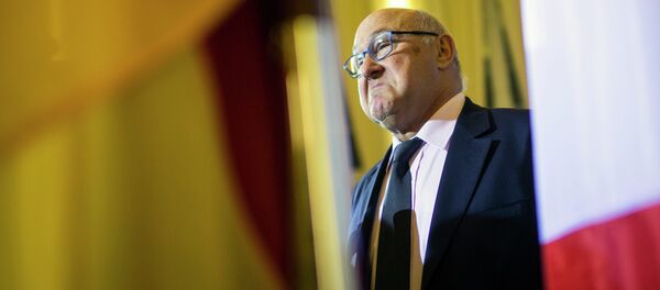 French Finance Minister Michel Sapin - Sputnik Afrique