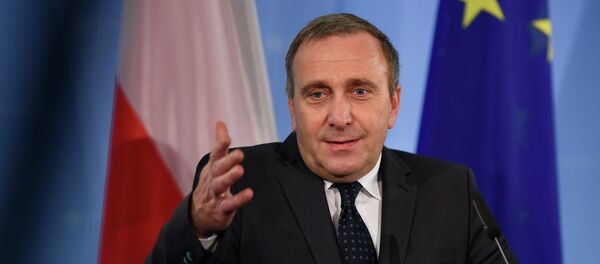 Poland's Foreign Minister Grzegorz Schetyna - Sputnik Afrique