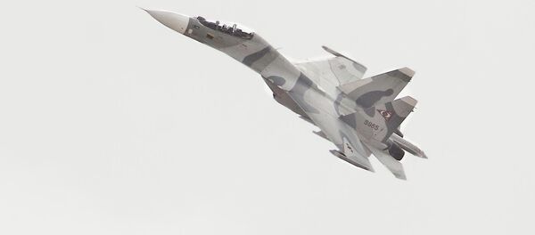 Su-30MK2 - Sputnik Afrique