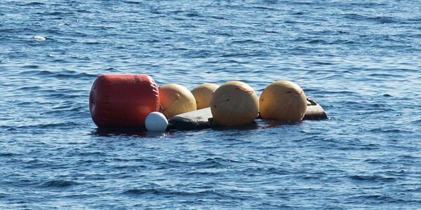 Le prototype d'avion spatial européen amerrit dans le Pacifique - Sputnik Afrique