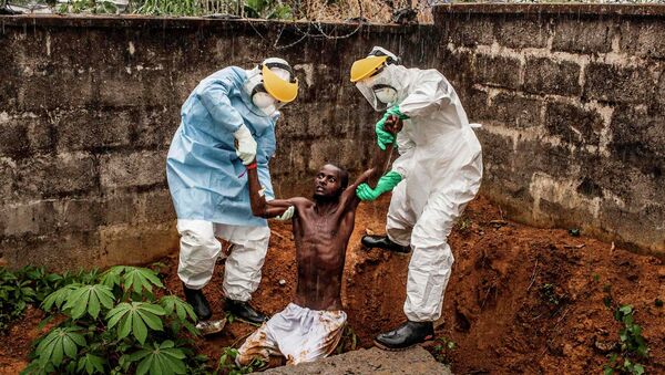 Virus d'Ebola - Sputnik Afrique