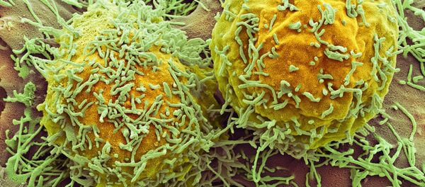 Раковые клетки - Sputnik Afrique