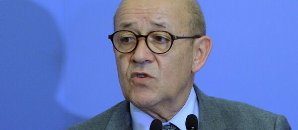 Defense Minister of France Jean-Yves Le Drian - Sputnik Afrique