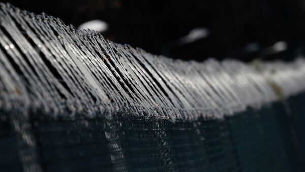 A barbed wire fence surrounds a military area is in the forest near Stare Kiejkuty village, close to Szczytno in Northeastern Poland, January 24, 2014 - Sputnik Afrique