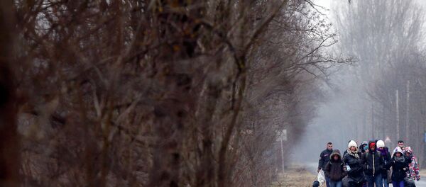 A group of Kosovars walk along a road after they crossed illegally the Hungarian-Serbian border near the village of Asotthalom February 6, 2015. - Sputnik Afrique