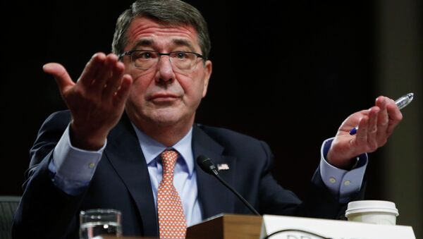 Ashton Carter, U.S. President Barack Obama's nominee to be secretary of defense, testifies before a Senate Armed Services Committee confirmation hearing on Capitol Hill in Washington, in this February 4, 2015 file photo - Sputnik Afrique