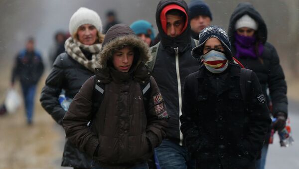 A group of Kosovars walk along a road after they crossed illegally the Hungarian-Serbian border near the village of Asotthalom February 6, 2015. - Sputnik Afrique