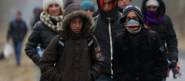 A group of Kosovars walk along a road after they crossed illegally the Hungarian-Serbian border near the village of Asotthalom February 6, 2015. - Sputnik Afrique