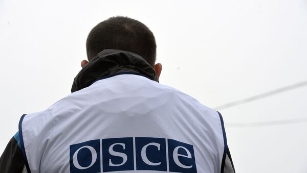 Наблюдатели ОБСЕ осматривают КПП Новоазовск - Sputnik Afrique
