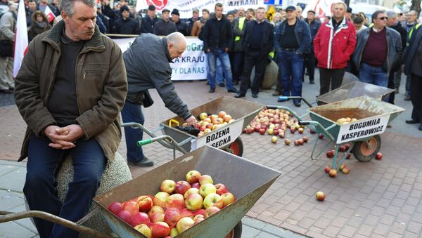 Акция протеста фермеров и садоводов Польши прошла в Варшаве - Sputnik Afrique