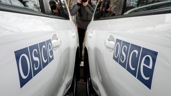Un journaliste et des voitures de l'OSCE - Sputnik Afrique