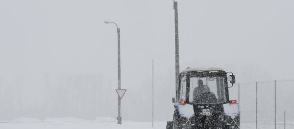 Снегопад в Ростовской области - Sputnik Afrique