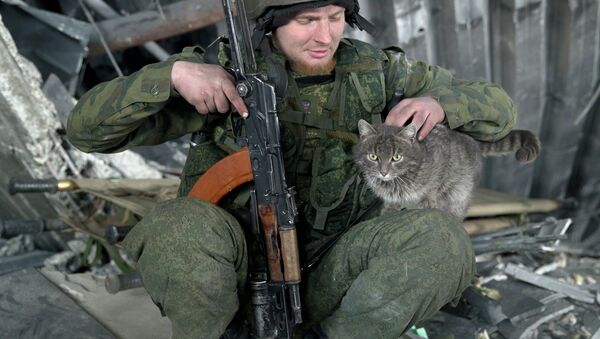 A Russian independence supporter pets a cat inside the destroyed building of the airport, outside Donetsk, Ukraine, Wednesday, Feb. 25, 2015 - Sputnik Afrique