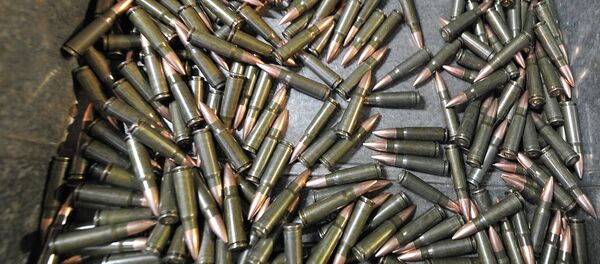 Des cartouches - Sputnik Afrique