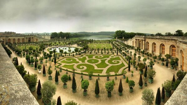 Château de Versailles - L'Orangerie - Sputnik Afrique