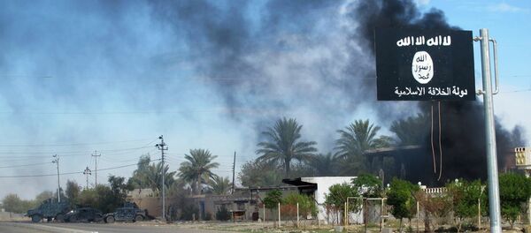 drapeau de l'Etat islamique - Sputnik Afrique