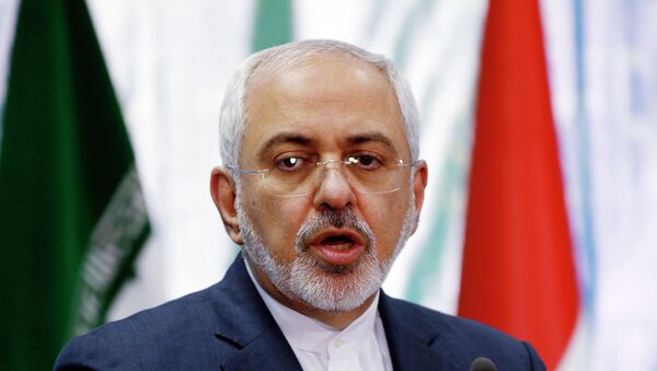 Iranian Foreign Minister Mohammad Javad Zarif speaks during a news conference with Iraqi Foreign Minister - Sputnik Afrique