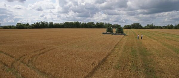 Уборка ячменя - Sputnik Afrique