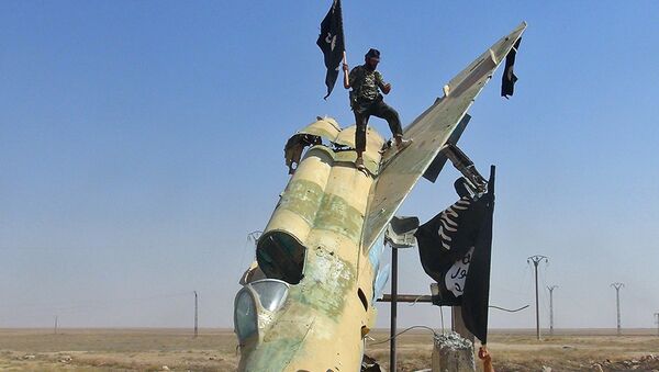 Ffighters of the Islamic State wave the group's flag from a damaged display of a government fighter jet following the battle for the Tabqa air base, in Raqqa, Syria - Sputnik Afrique