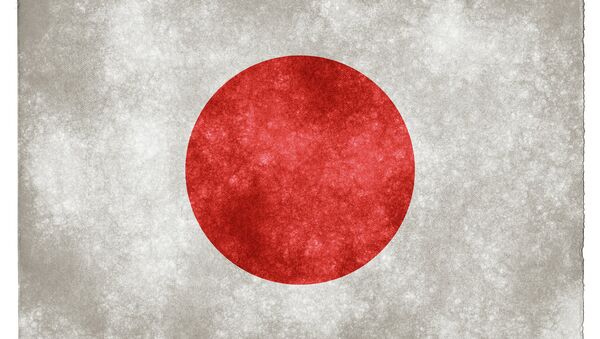 Japan Grunge Flag - Sputnik Afrique