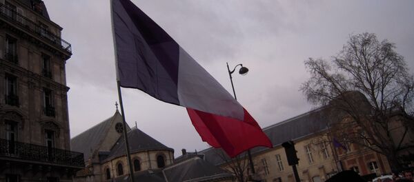 Drapeau français - Sputnik Afrique