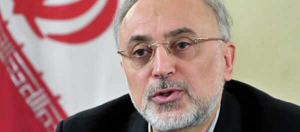 Заседание Российско-Иранской комиссии по торгово-экономическому сотрудничеству в Москве - Sputnik Afrique