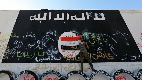A member of militias known as Hashid Shaabi stands next to a wall painted with the black flag commonly used by Islamic State militants, in the town of al-Alam March 10, 2015 - Sputnik Afrique
