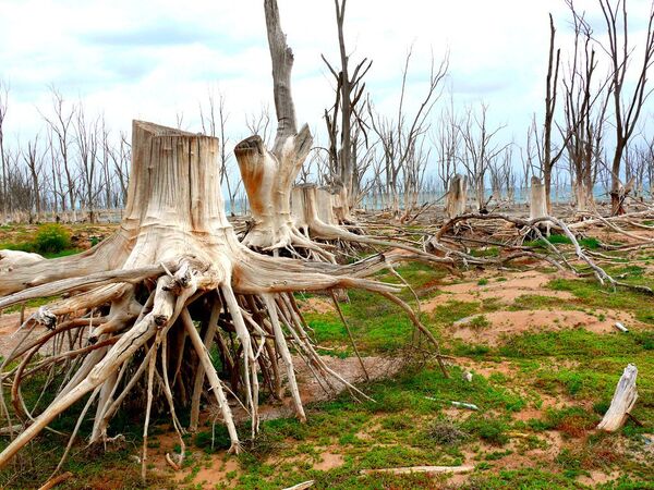 Lago Epecuén, ville dans la province de Buenos Aires Lago Epecuén, ville dans la province de Buenos Aires - Sputnik Afrique