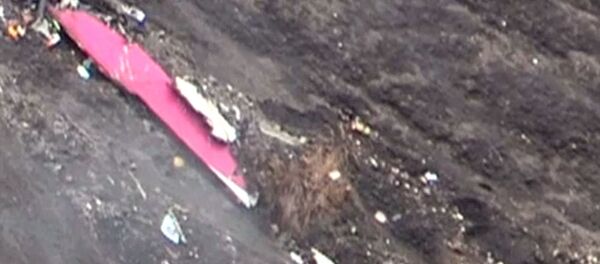 Обломки самолета авиакомпании Germanwings во французских Альпах - Sputnik Afrique