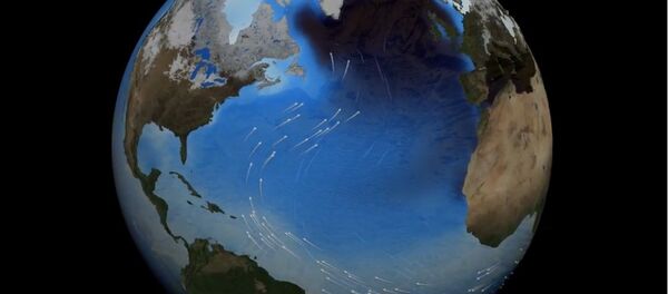 Courant circumpolaire antarctique - Sputnik Afrique