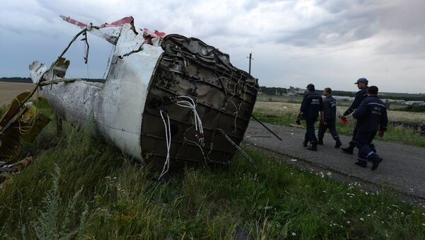 Crash du vol MH17 - Sputnik Afrique