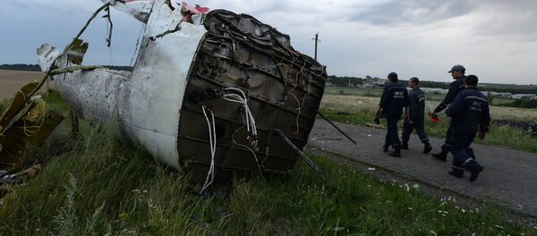 Crash du vol MH17 - Sputnik Afrique