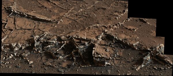 Curiosity Sees Prominent Mineral Veins on Mount Sharp, Mars - Sputnik Afrique