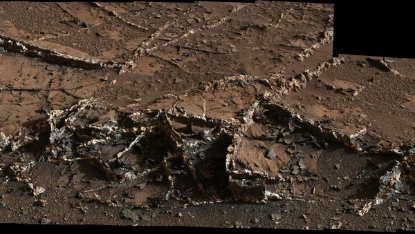 Curiosity Sees Prominent Mineral Veins on Mount Sharp, Mars - Sputnik Afrique