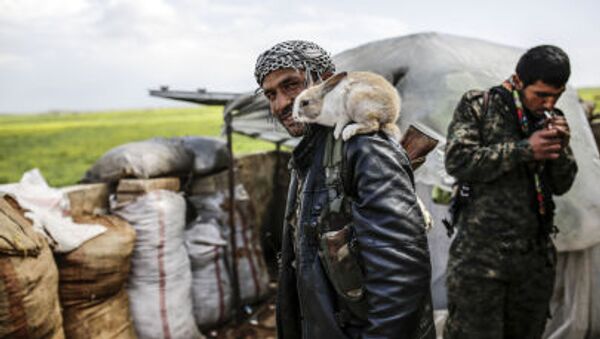 Курдский боец позирует с кроликом на окраине сирийского города Кобани - Sputnik Afrique