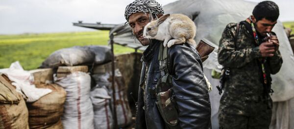 Курдский боец позирует с кроликом на окраине сирийского города Кобани - Sputnik Afrique