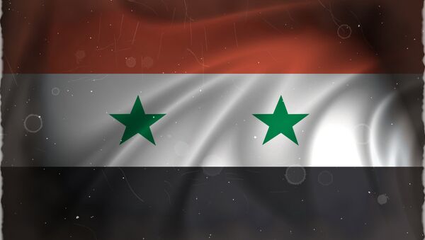 Flag of Syria - Sputnik Afrique