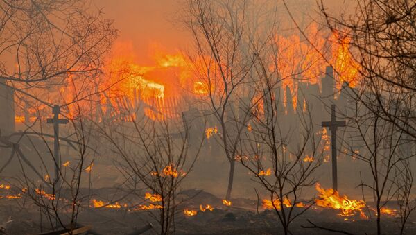 Wildfires in Russia's Khakassia republic - Sputnik Afrique