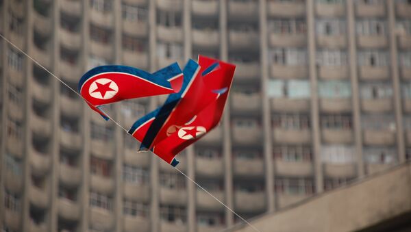 Le drapeau de la Corée du Nord - Sputnik Afrique