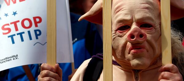People dressed in costumes take part in a demonstration against the Transatlantic Trade and Investment Partnership (TTIP), a proposed free trade agreement between the European Union and the United States, in Munich April 18, 2015 - Sputnik Afrique