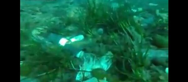 Un plongeur cannois dénonce la pollution de la baie - Sputnik Afrique