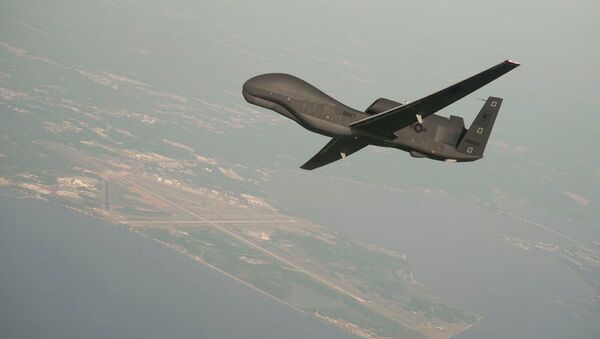 RQ-4 Global Hawk unmanned aerial vehicle conducts tests over Naval Air Station Patuxent River - Sputnik Afrique