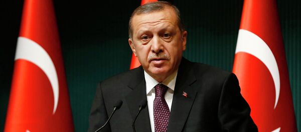 Президент Турции Реджеп Тайип Эрдоган - Sputnik Afrique