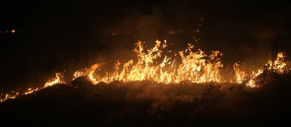Лесной пожар, возникший в результате взрывов на Приволжском государственном боеприпасном испытательном полигоне - Sputnik Afrique