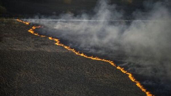 Лесной пожар в Украине - Sputnik Afrique
